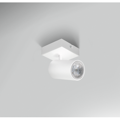 FARETTO SOFFITTO ENFASI...