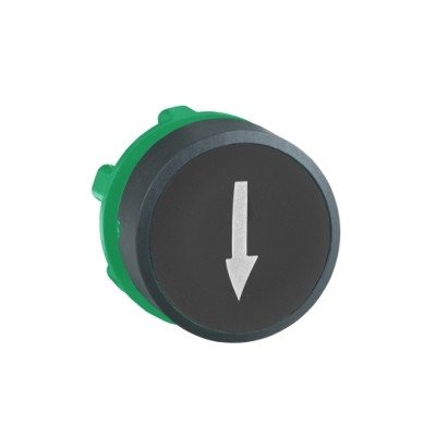 TESTA PULSANTE NERO CON...